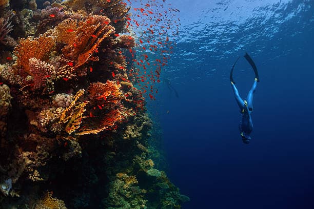Diving en Cala Azul